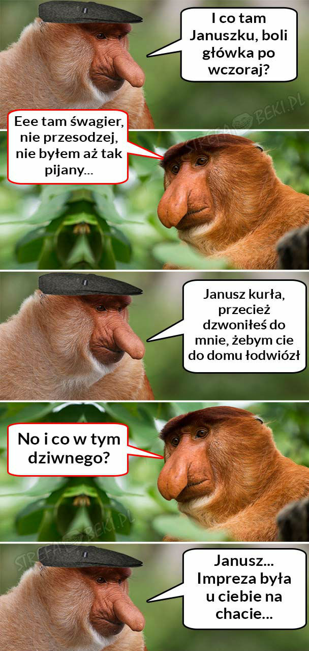 Janusz zabalował 