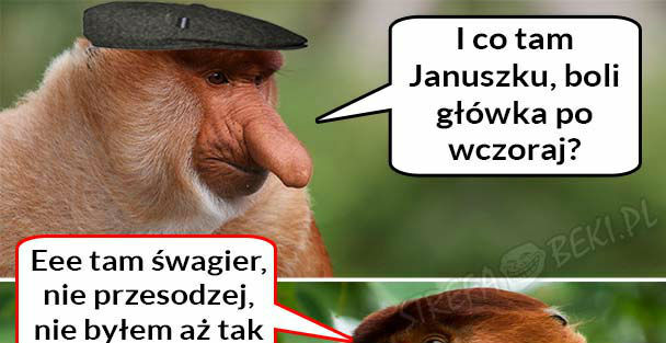 Janusz zabalował 