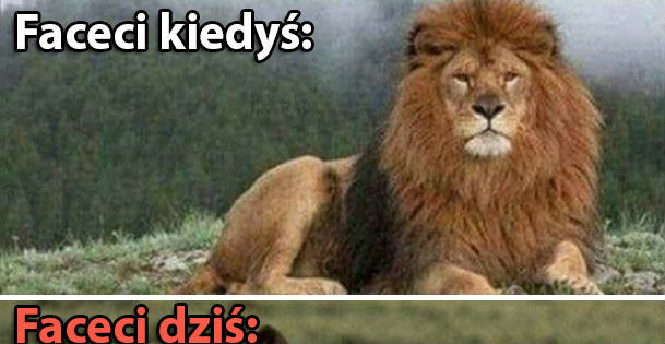Coś poszło nie tak :D 
