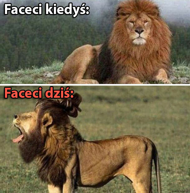 Coś poszło nie tak :D 