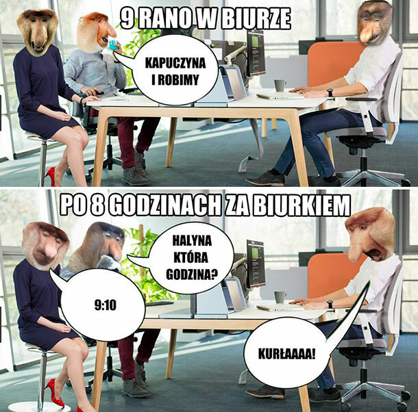 Janusz w korpo 