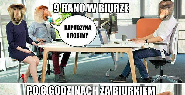 Janusz w korpo 
