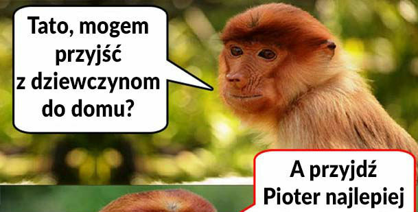 Kiedy Pioter chce przyprowadzić dziewczynę 