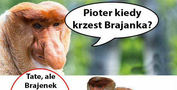 Chrzest Brajanka