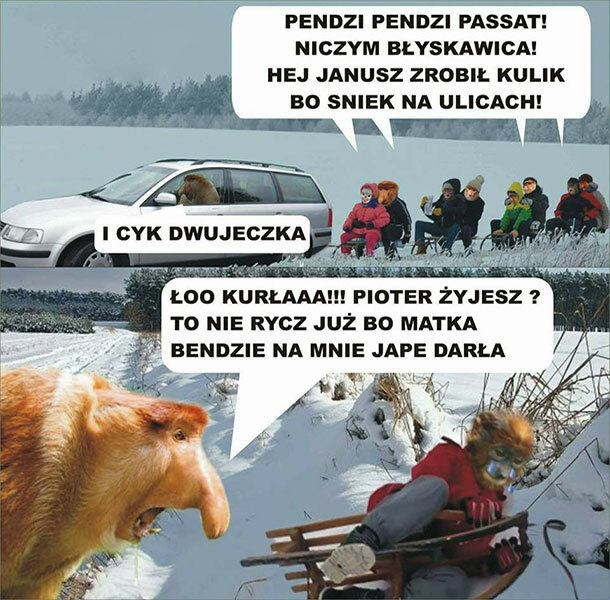 Kulig u Janusza 