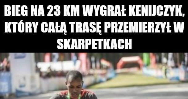 Twardziel