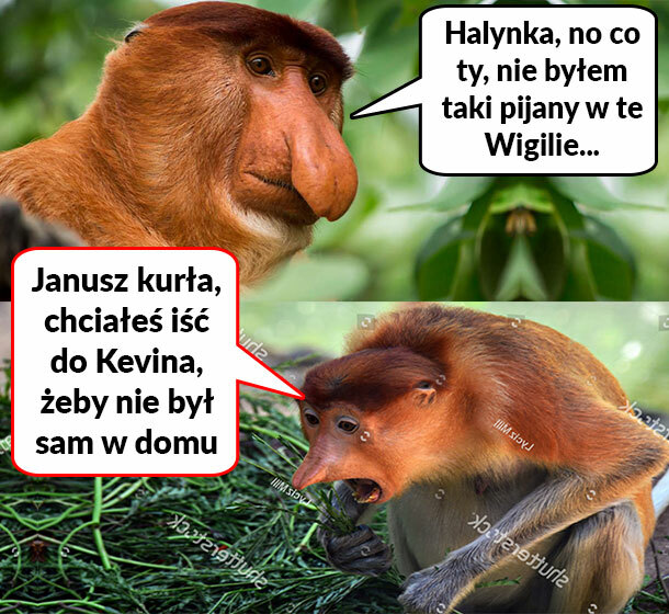 Czy Janusz był pijany? :D 