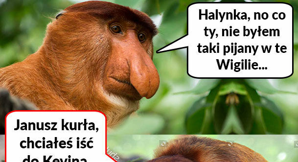Czy Janusz był pijany? :D 