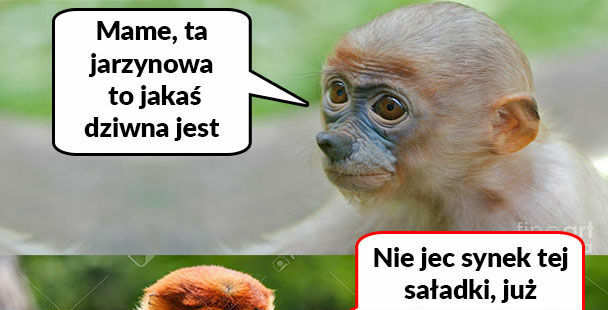 Jarzynowa ze świąt 