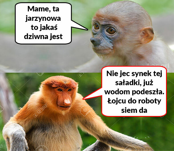 Jarzynowa ze świąt 