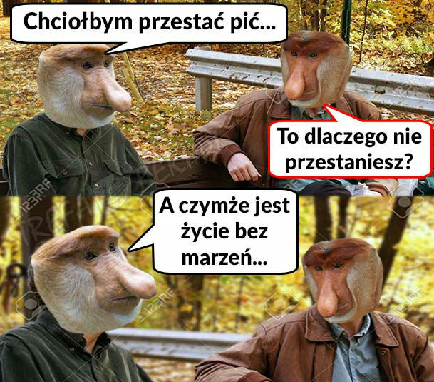 Marzenie Janusza 