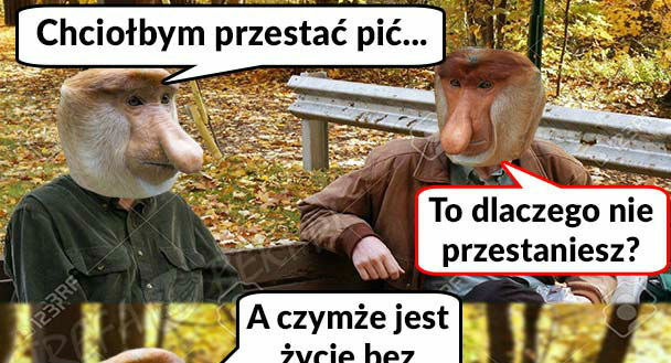 Marzenie Janusza 
