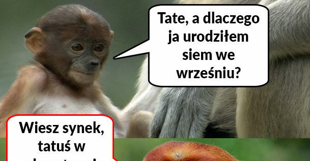 Urodziny Pioterka :D