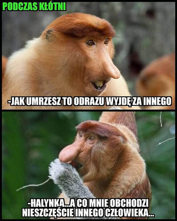 Kłótnia u Januszów 