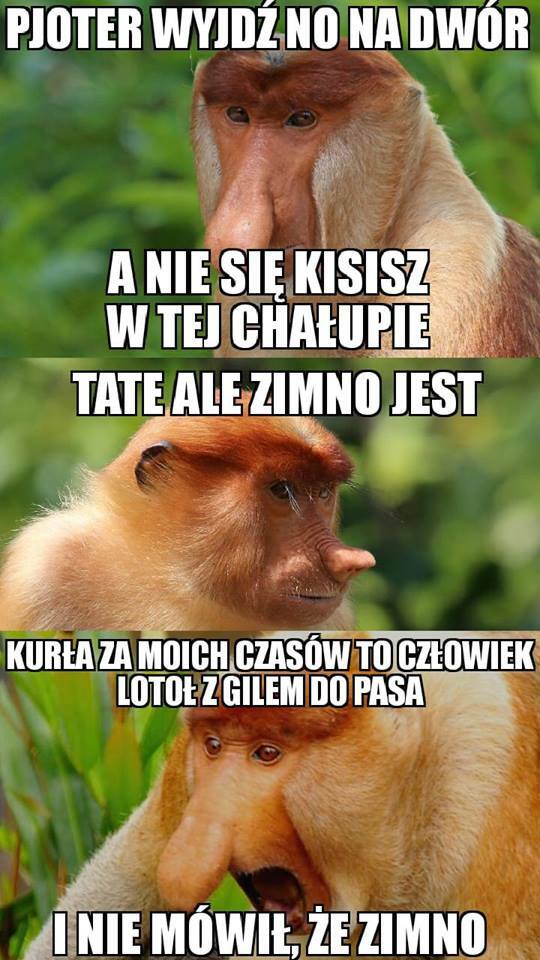 Nie ma, że zimno :D 