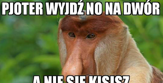 Nie ma, że zimno :D 