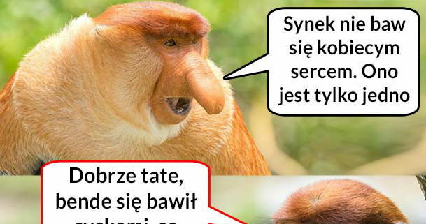 Pioter, nie baw się kobiecym sercem!