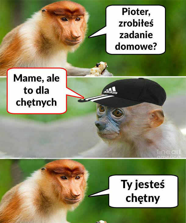 Zadanie domowe :D 