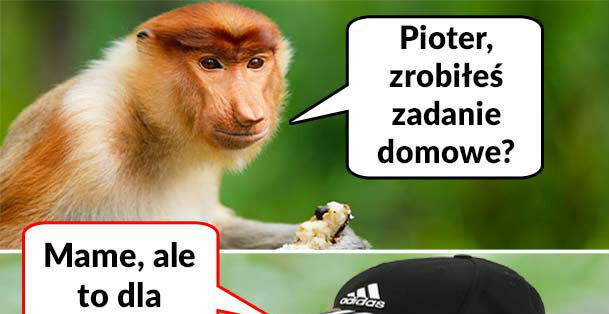 Zadanie domowe :D 