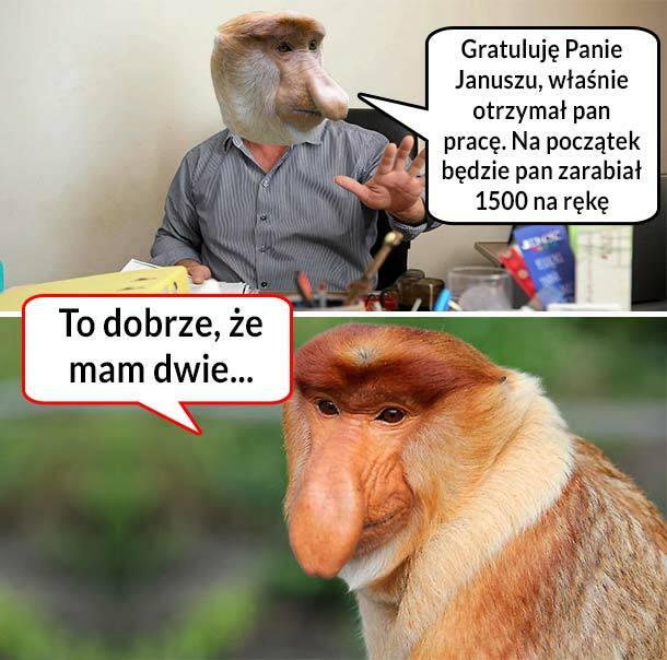 Zarobki Janusza :D 