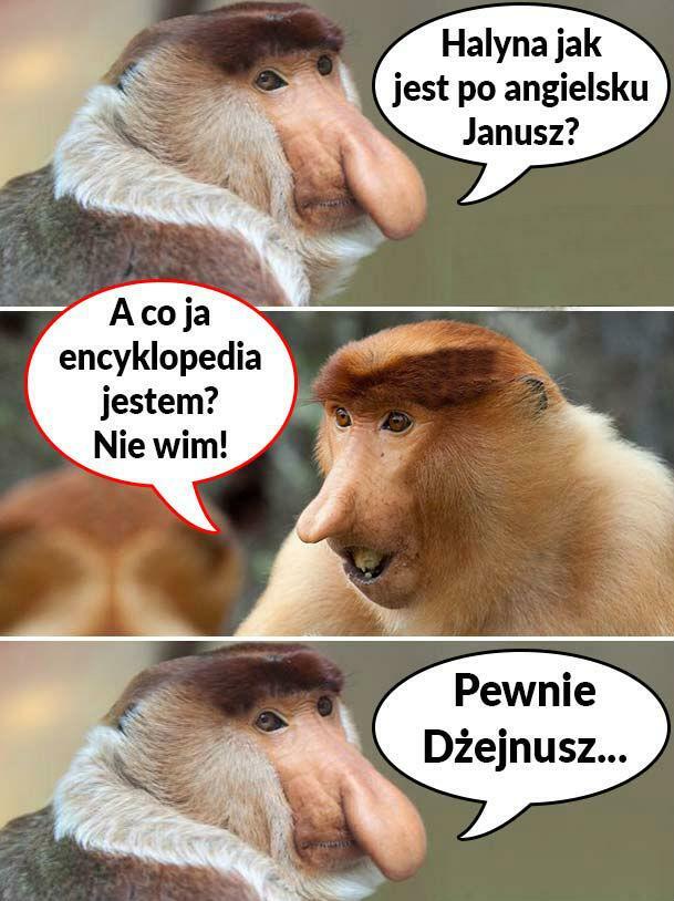 Janusz po angielsku 