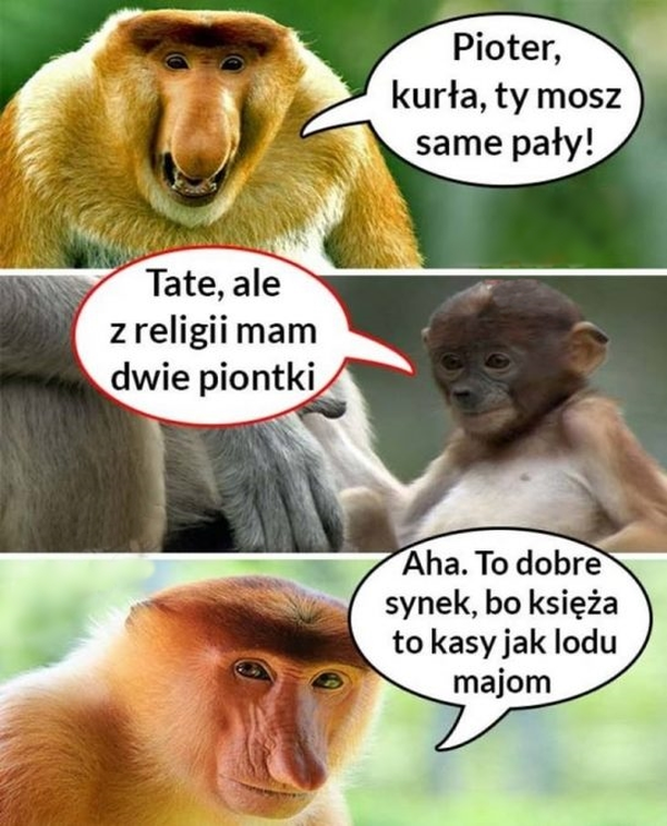 Oceny Pioterka :D