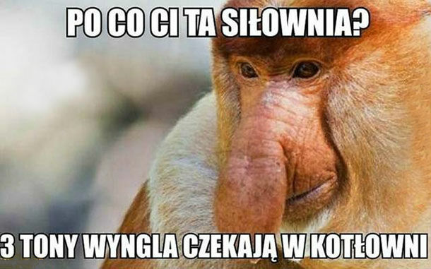 Po co Ci ta siłownia? :D