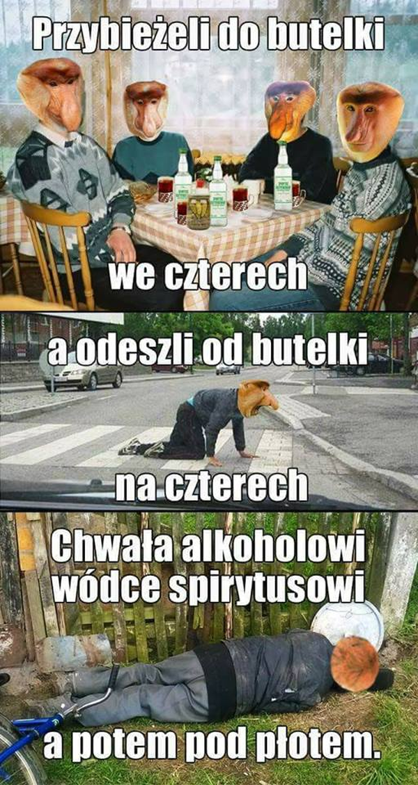 Janusz kolędnik :D 