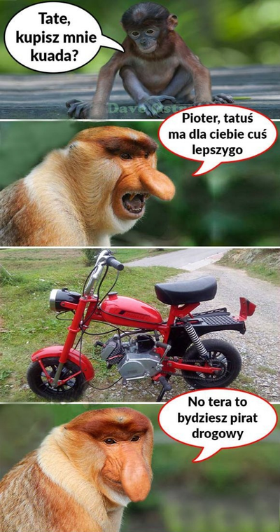 Pioter pirat drogowy :D 