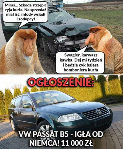 Szwagier wyklepie :D 