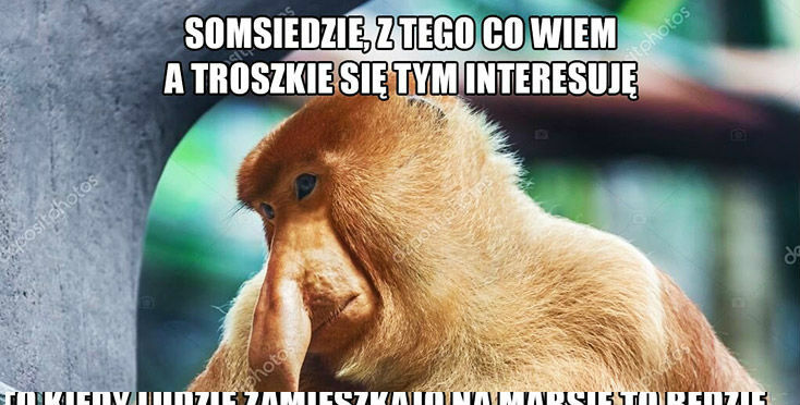 Życiowa teoria Janusza :D 