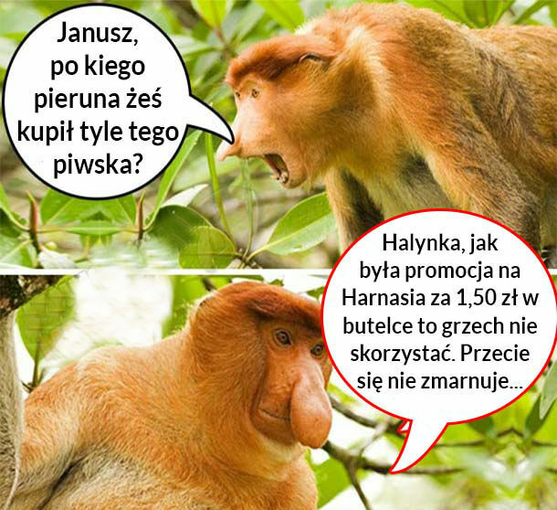 Grzech nie skorzystać :D 