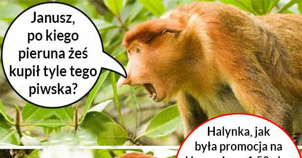 Grzech nie skorzystać :D 