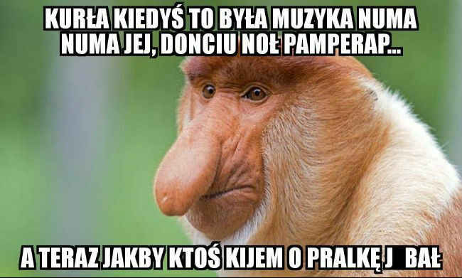 Kiedyś to była muzyka, a dziś? 