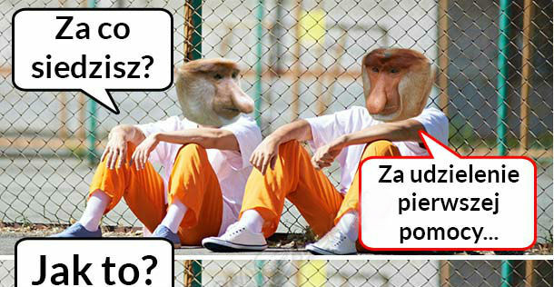 Za co siedzi Janusz? 