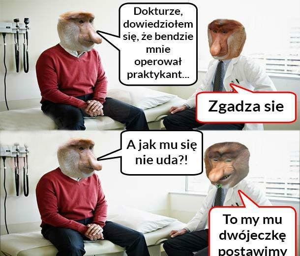 Praktykant :D 