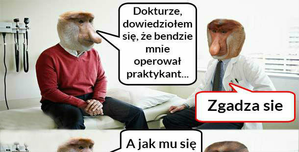 Praktykant :D 