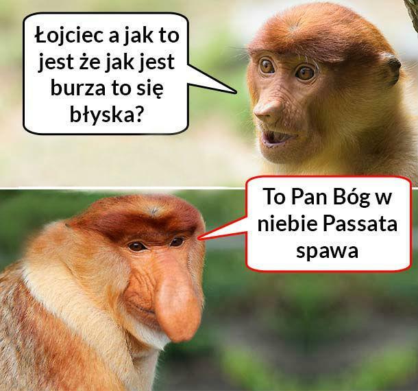 Jak to jest? 