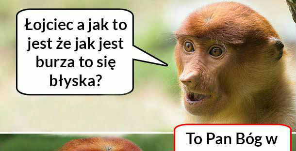Jak to jest? 