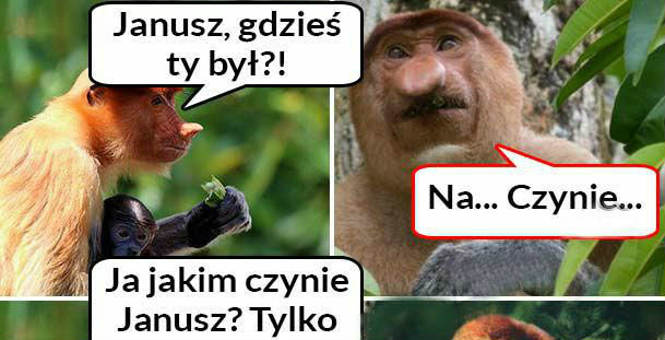 Powiedz Janusz, gdzieś Ty był? 