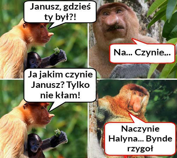 Powiedz Janusz, gdzieś Ty był? 