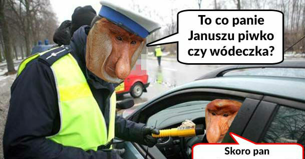 Kontrola trzeźwości 