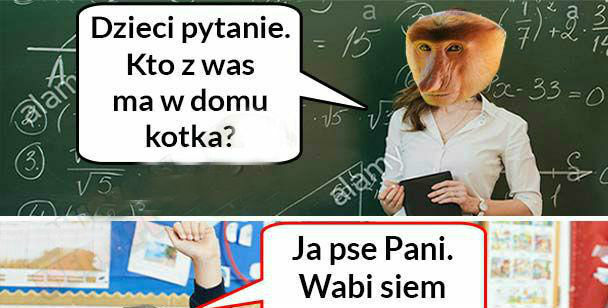 Kotek Pioterka 