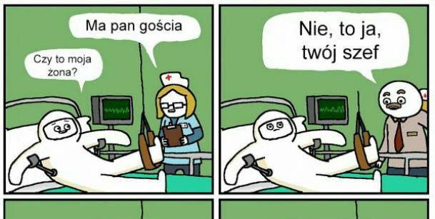 Szef roku 