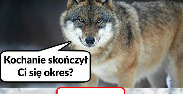 Te dni :D 