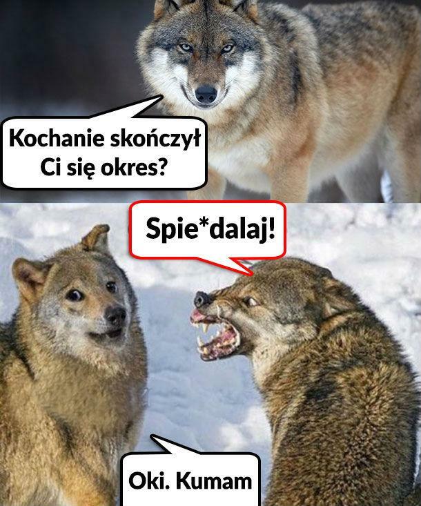 Te dni :D 
