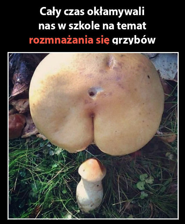 Całe życie w kłamstwie 