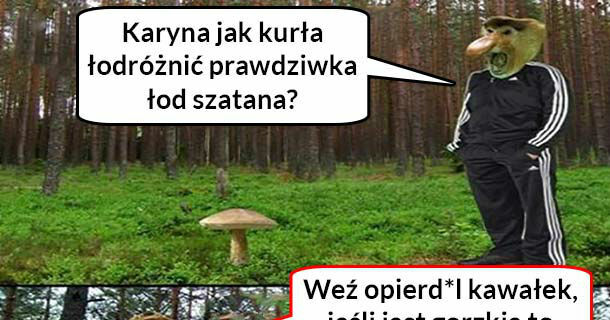 Jak odróżnić szatana od prawdziwka :D 