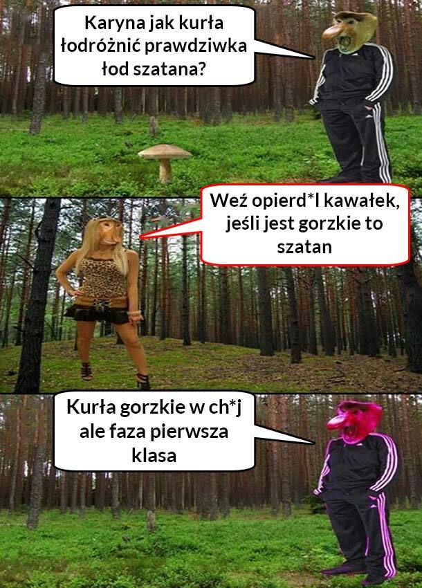 Jak odróżnić szatana od prawdziwka :D 