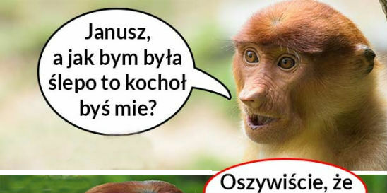 Kiedy Janusz zwariuje z miłości :D 